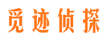 清新市婚姻出轨调查